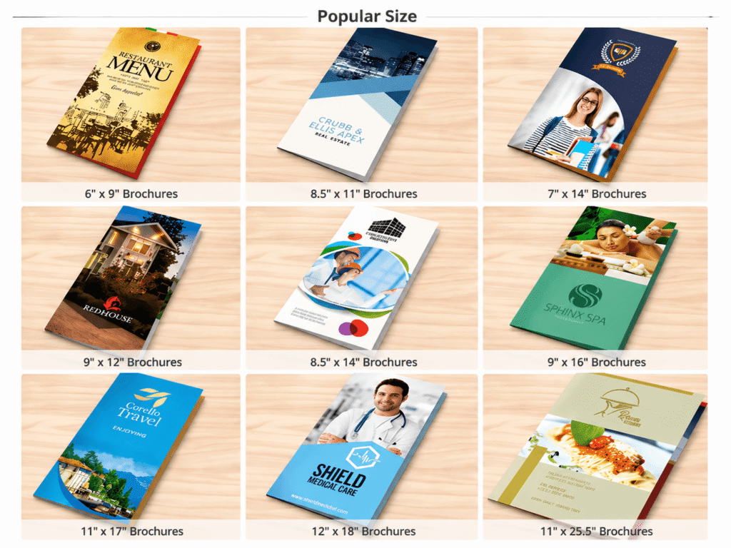 Custom Folded Brochures | Precision Scoring & FSC Paper | MOQ 500 9 Common Folded Brochure Sizes